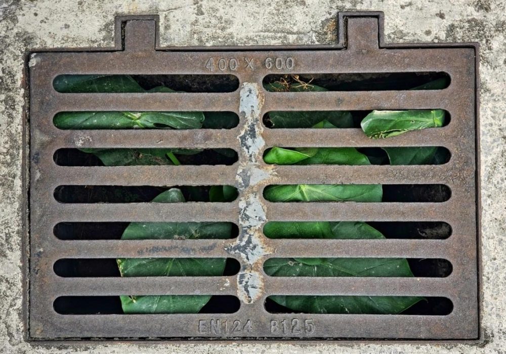 Sewer