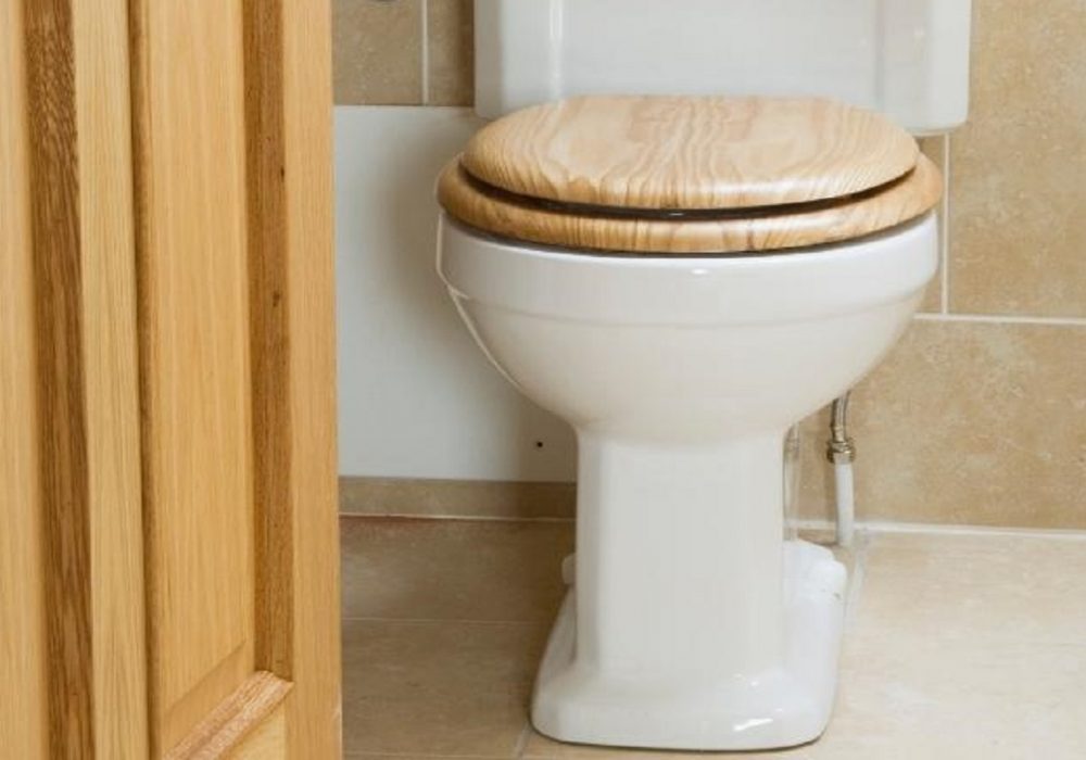 House Toilet