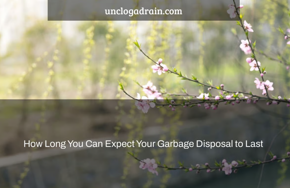 How Long Do Garbage Disposals Last